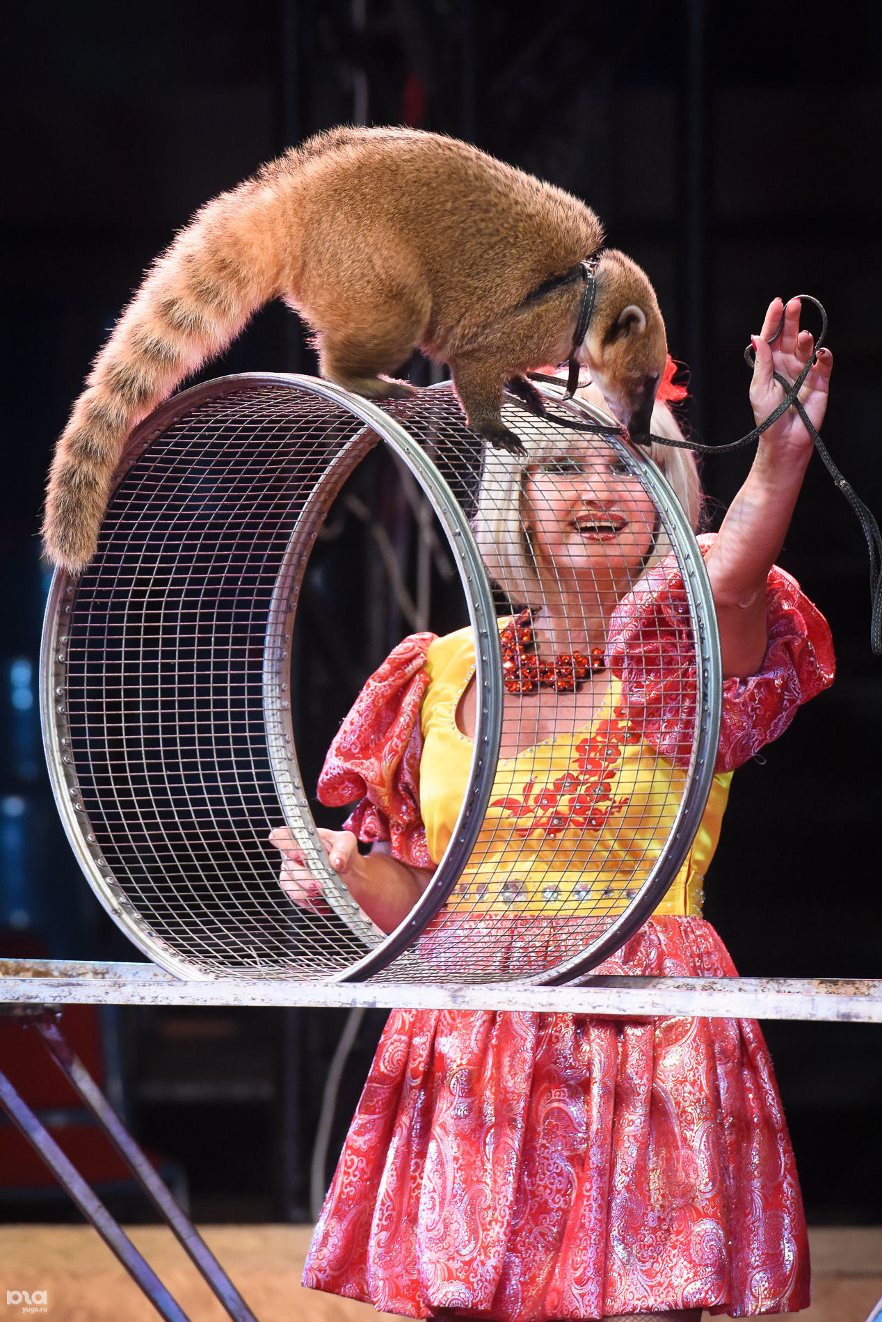 D Галактика  Программу